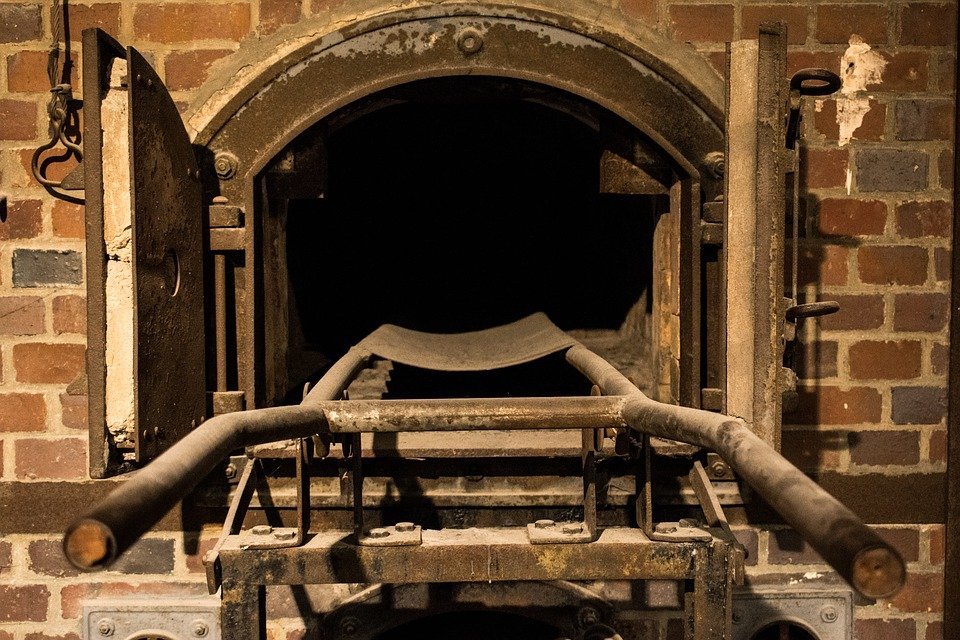 The experimental findings of the Nazi “laboratories” can be reduced to a single statement…